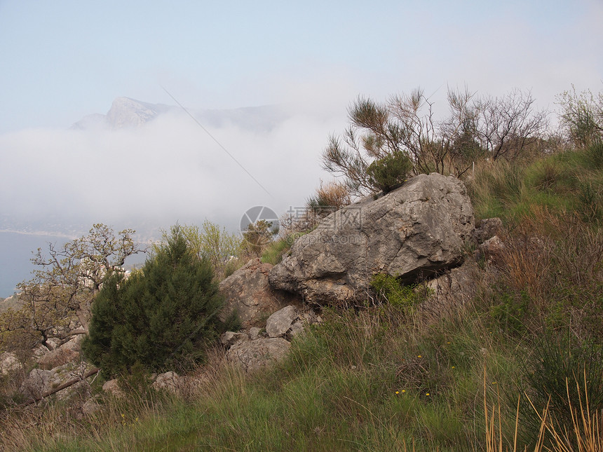山中的大雾顶峰高度岩石植物石头松树悬崖针叶边缘裂缝图片