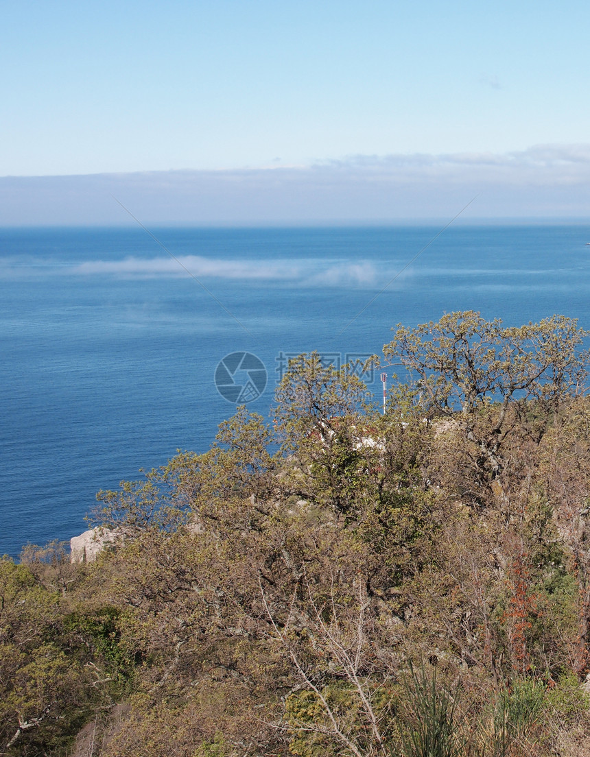 树木 天空和岩石绿色海岸线牧歌石头蓝色海岸植物季节针叶海浪图片