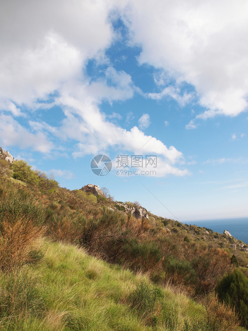 树木 天空和岩石石头海浪波纹针叶牧歌绿色植物海岸海岸线蓝色图片