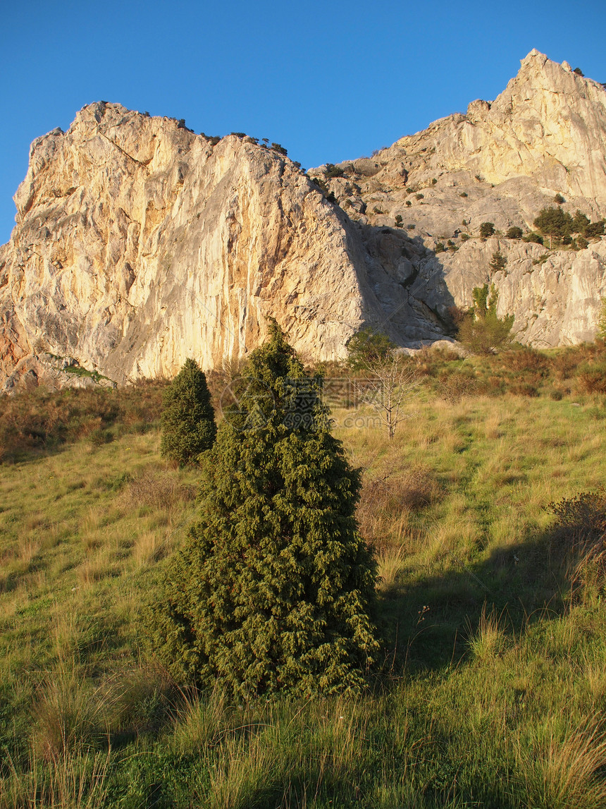 日落时山岳绿色多云针叶石头牧歌石质岩石季节植物天空图片