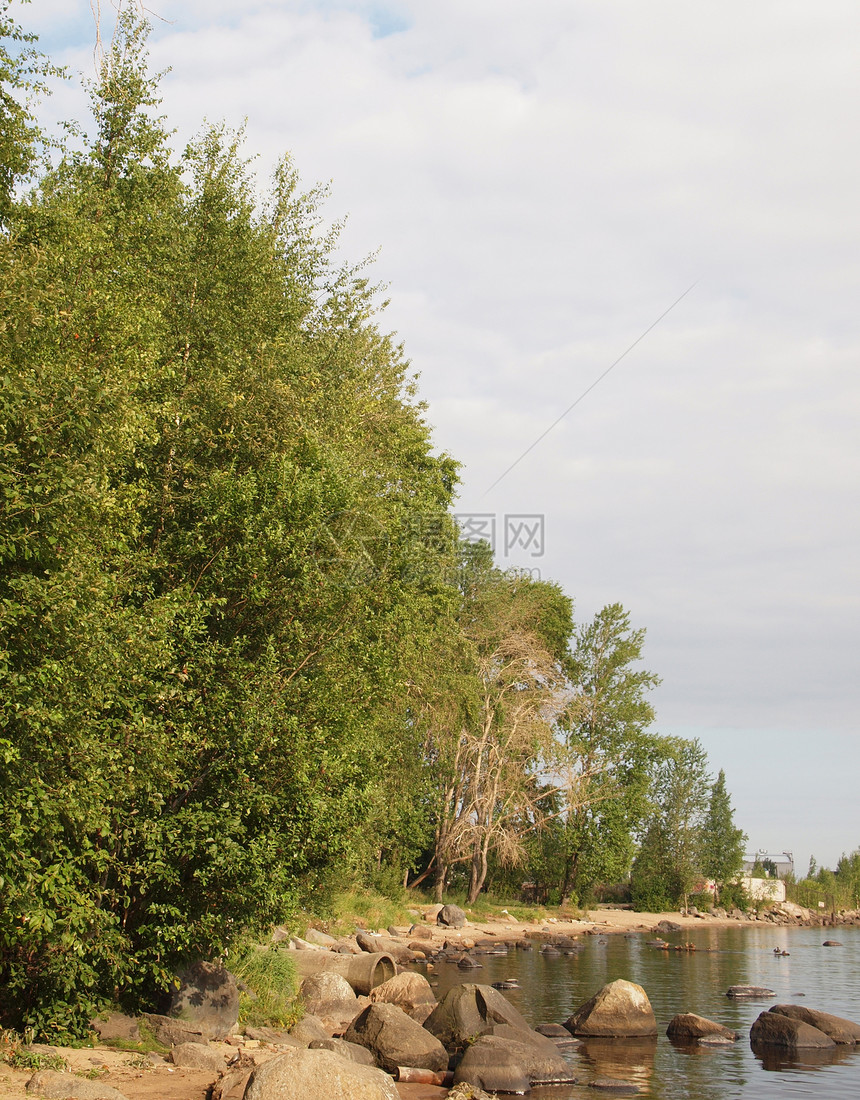 湖边的树木地平线海岸荒野天空绿色石头叶子野生动物蓝色图片