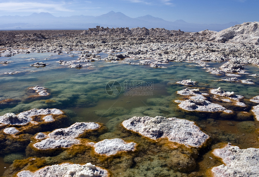 Chaxa 泻湖  阿塔卡马盐滩  智利风景干旱盐滩旅游高原地面火山盐水池荒野地球图片