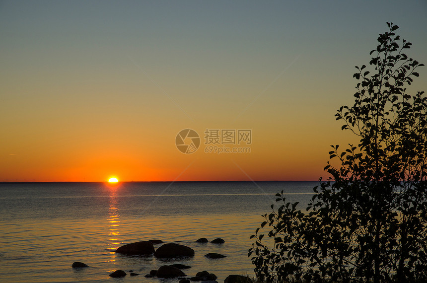 日落视图海洋太阳叶子美丽假期海岸海岸线植物石头地平线图片