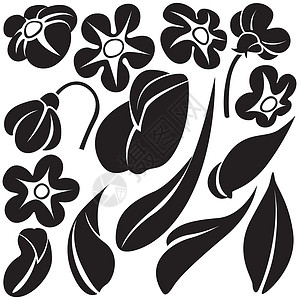 鲜花元素植物叶子剪影创造力装饰黑色风格植物学花朵插图背景图片