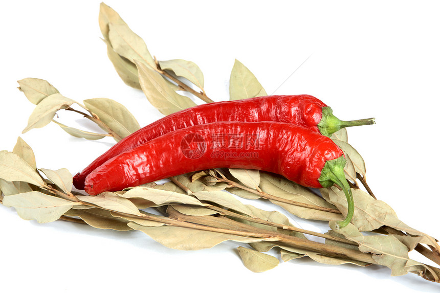 胡椒和海湾叶枝叶子食物静物生态农业红色香料味辣椒营养果汁图片
