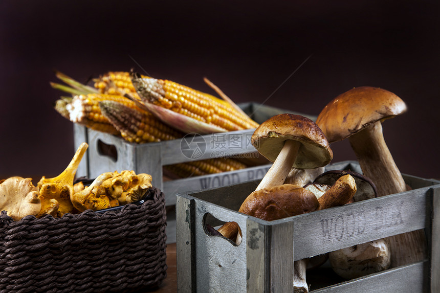 新鲜蘑菇 玉米和南瓜森林小吃帽子棕色蔬菜木头树叶篮子季节叶子图片