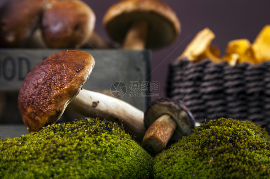 新鲜蘑菇食物篮子帽子苔藓蔬菜棕色黄色照片小吃身体图片