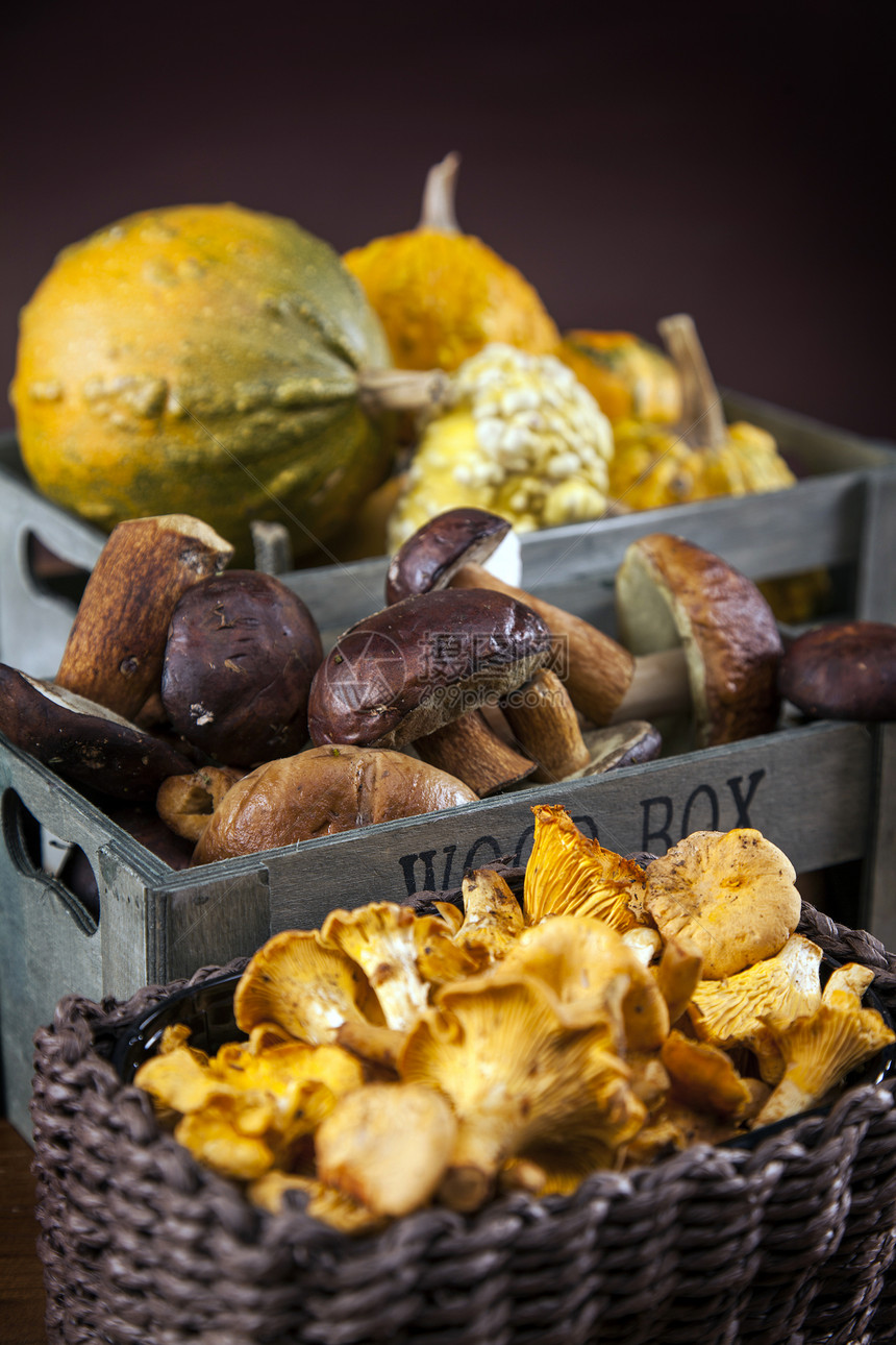 新鲜蘑菇 玉米和南瓜植物南瓜篮子小吃食物帽子棕色身体森林季节图片