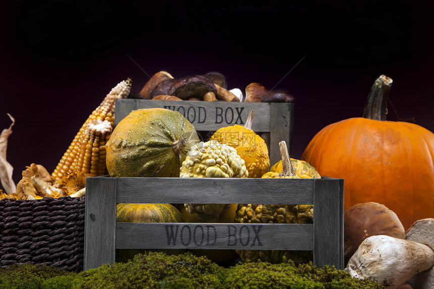 新鲜蘑菇 玉米和南瓜篮子照片南瓜食物植物季节木头帽子森林棕色图片