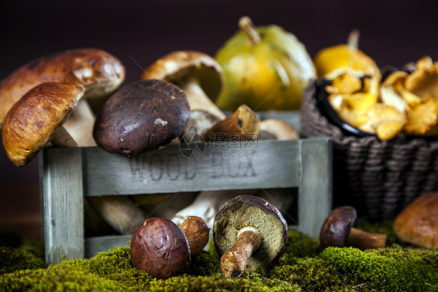 新鲜蘑菇 玉米和南瓜棕色帽子食物树叶南瓜季节照片小吃植物篮子图片