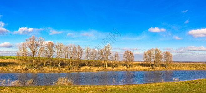 阳光日风秋秋天的风景木头植物群蓝色国家农村环境池塘全景森林天空背景图片