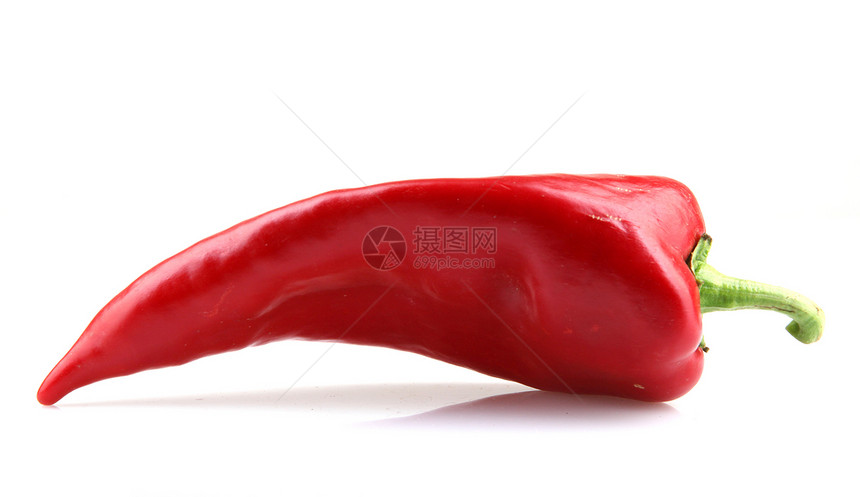 白色背景上的红辣椒植物胡椒红色食谱辣椒图片
