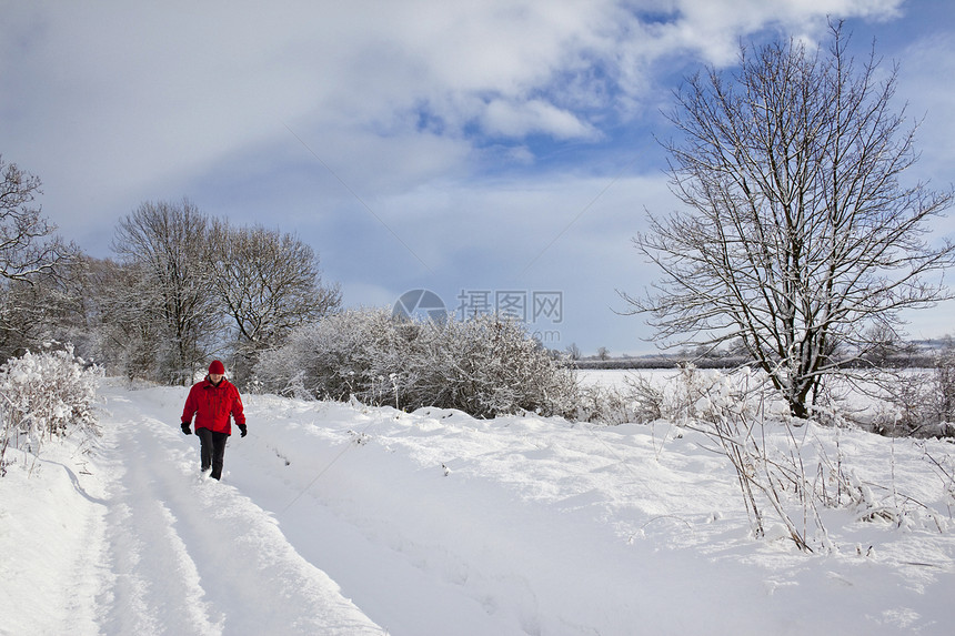 乡间小路上的雪 — 英国图片