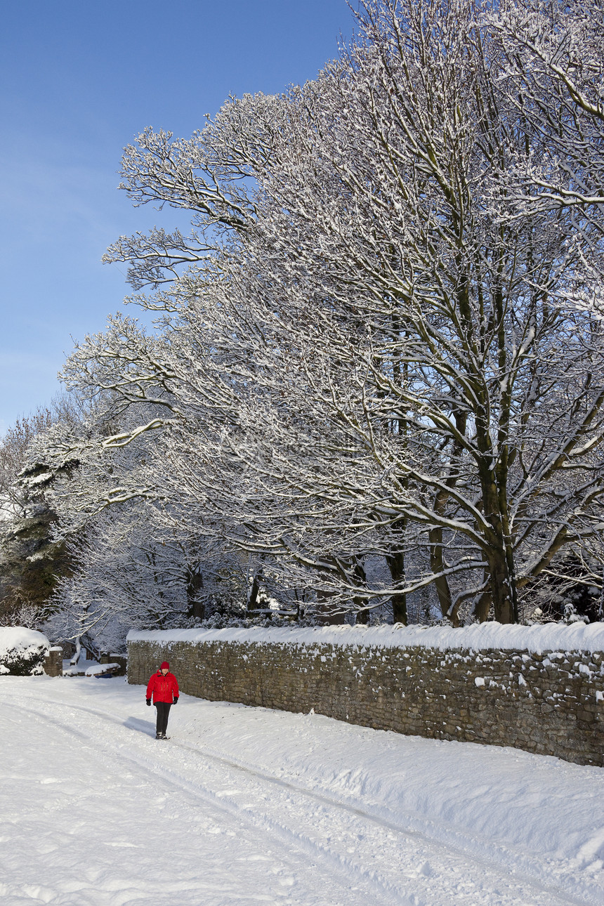 冬季雪  英格兰降雪红色气候乡村天气树木数字白色旅游旅行图片