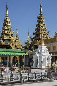 大金塔复杂 - 仰光 - 缅甸背景图片