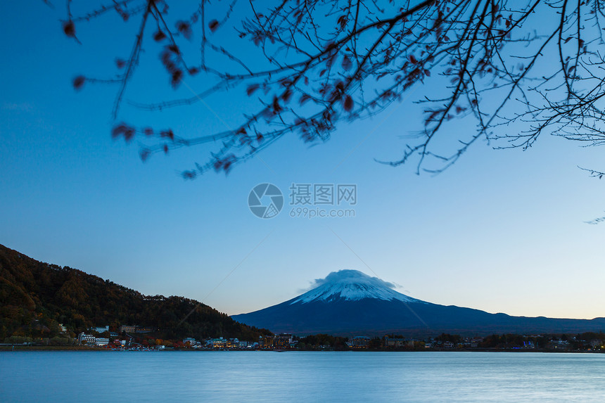 富士山和湖植物公吨火山树枝顶峰图片