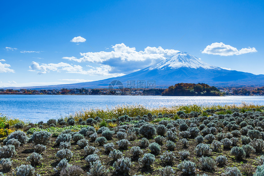 藤山和田地图片