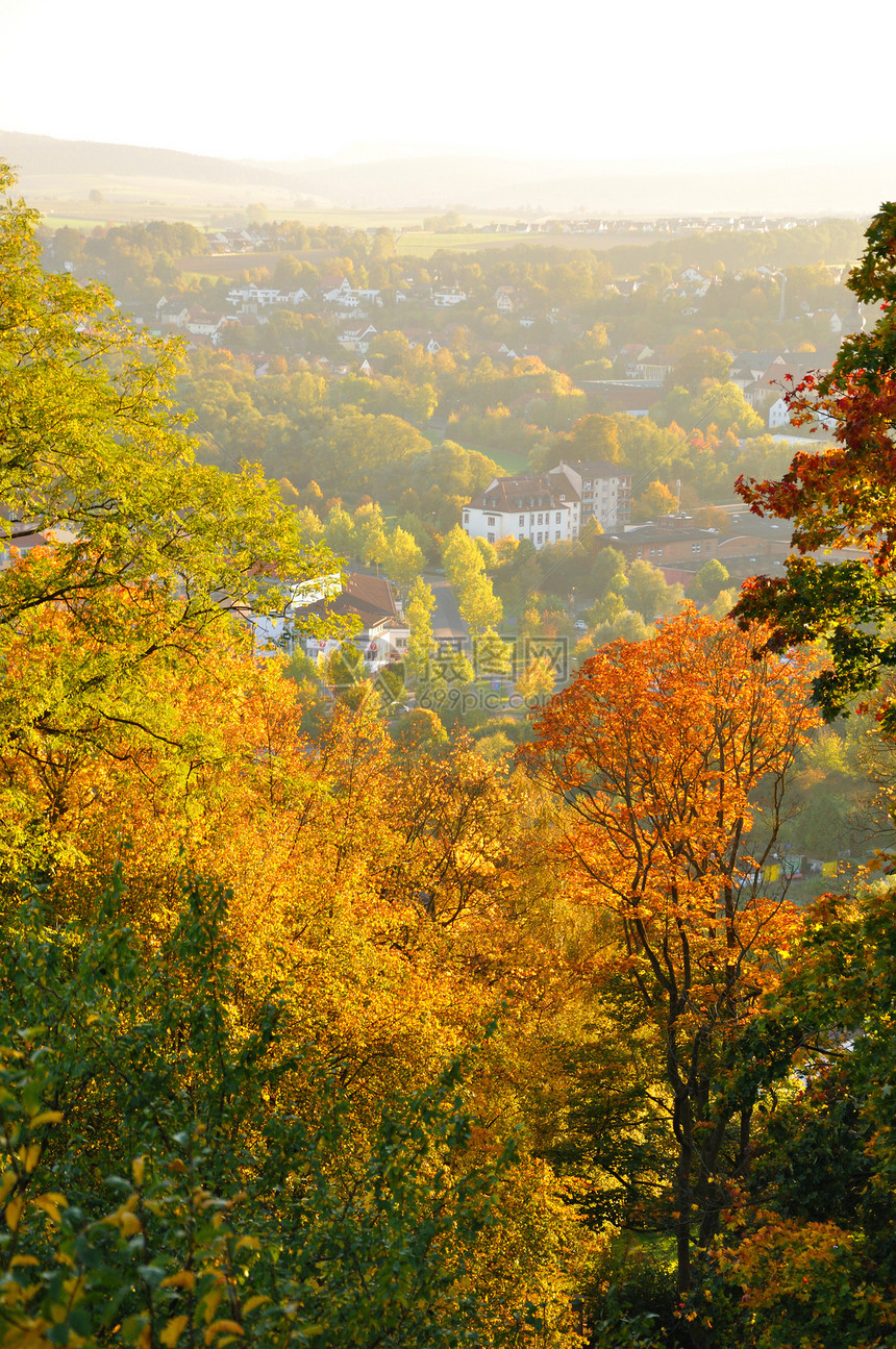 德国海森富尔达Frauenberg的秋黄树晴天场地城市叶子气候场景孤独公园爬坡灌木丛图片