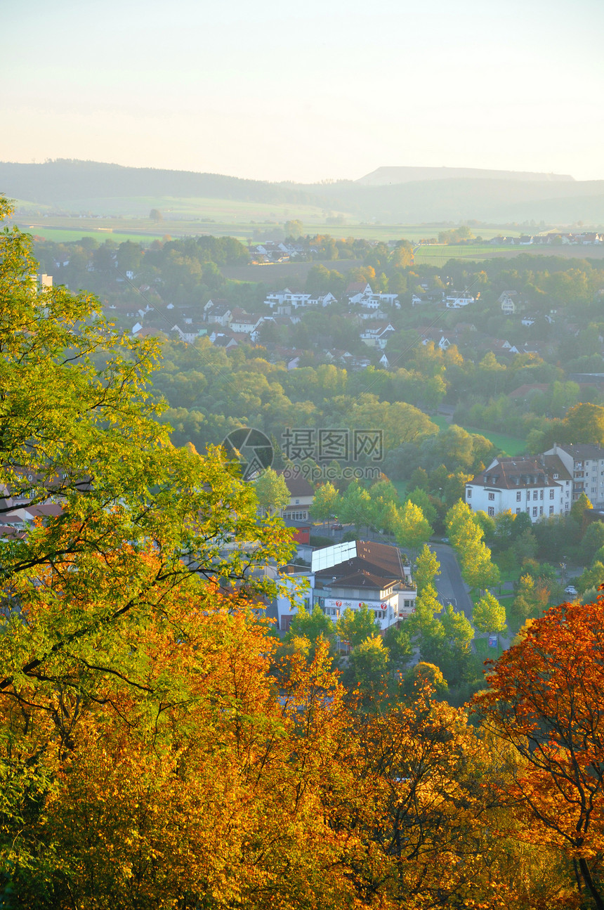 德国海森富尔达Frauenberg的秋黄树城市公园季节叶子孤独天空木头气候橡木高度图片