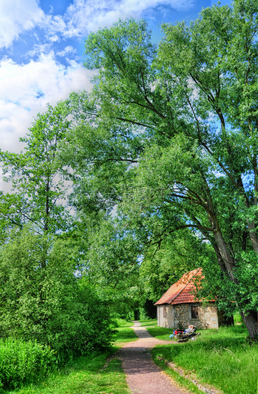 德国富尔达Frauenberg的Fulda Dom天主教天空民众房子植物生长蓝色小路森林公园观光图片