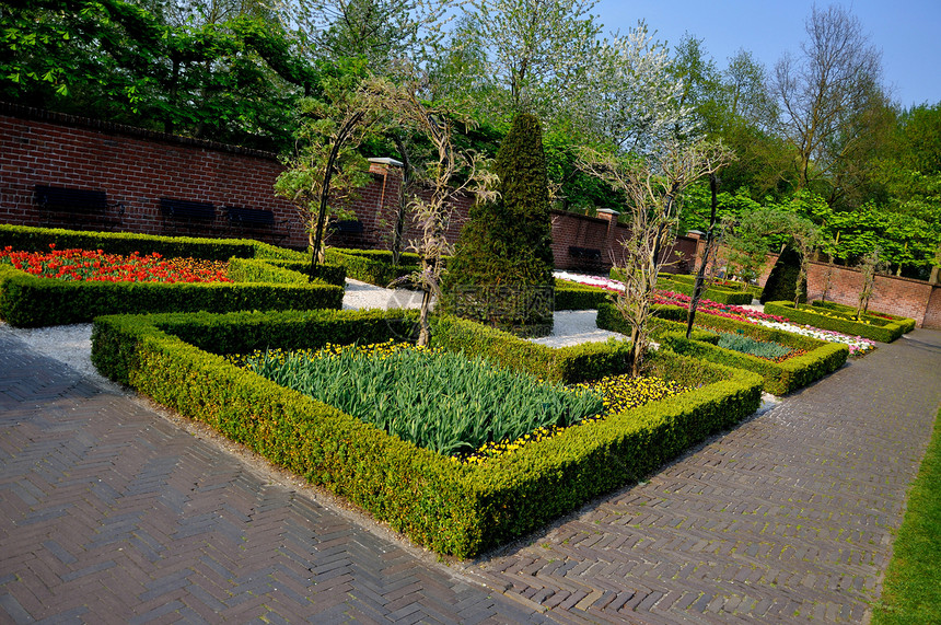 在荷兰Keukenhof公园有小灌木的花园图片
