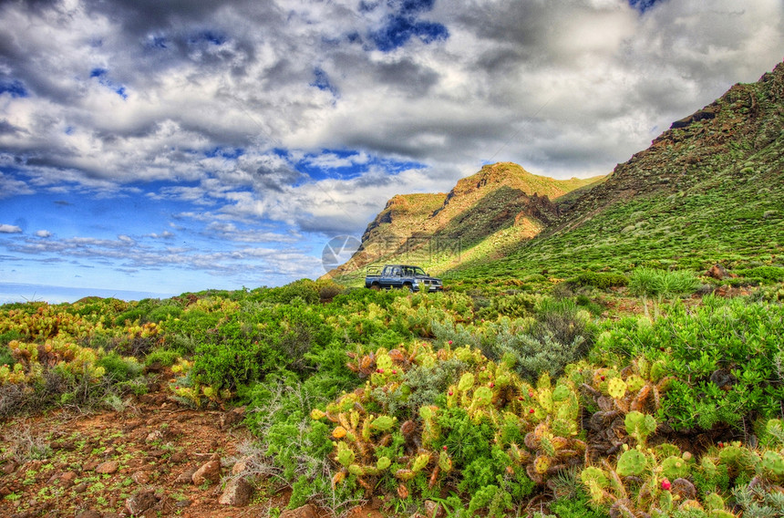 加那利岛Punto Teno灯塔附近Tenerife西北西北海岸风景蓝色全景场地天空悬崖汽车草地农村季节图片