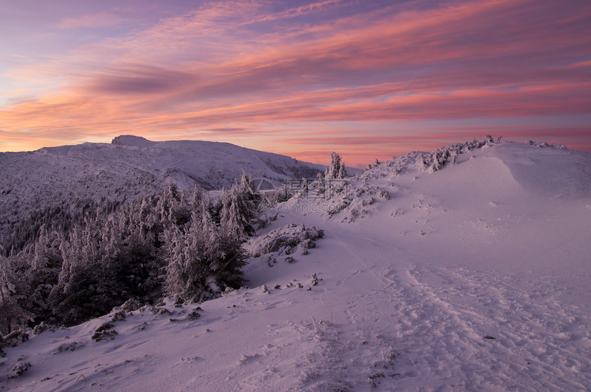 冬季日落气候天空环境天气紫色首脑高地假期暴风雪云杉图片