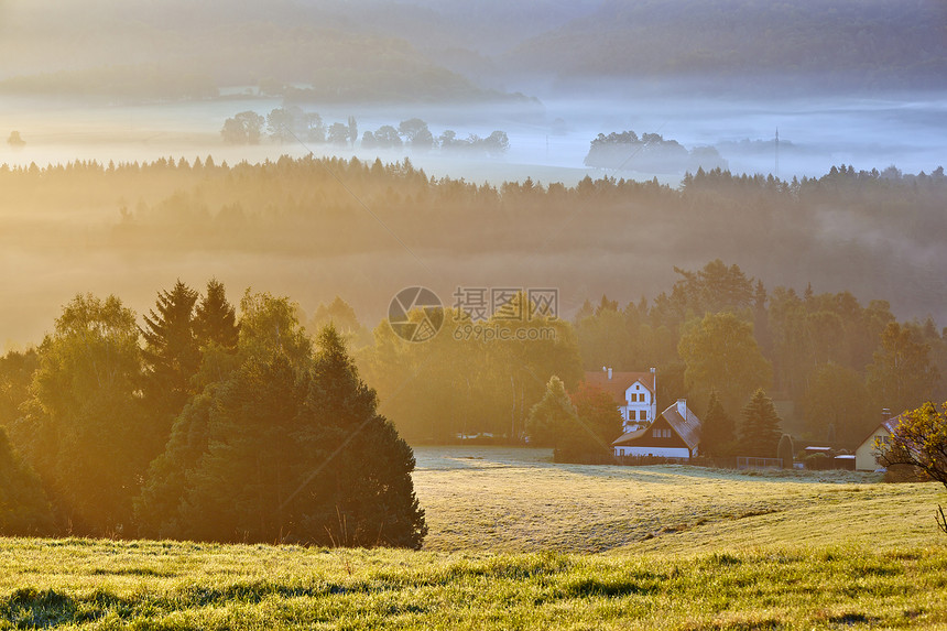 波希米亚瑞士的雾亮公园旅行风景太阳场地森林环境蓝色阳光植物图片
