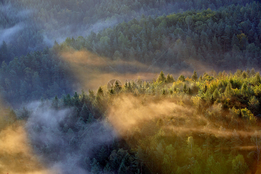 在波希米亚的瑞士 日出横梁在雾上阴影太阳环境国家阳光天空薄雾爬坡阴霾植物图片