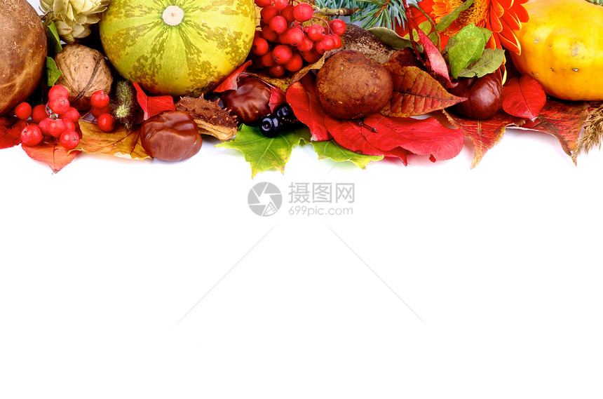 秋季框架叶子橙子风化边界浆果枫叶红宝石食用菌板栗季节图片
