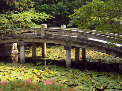 庆安寺桥桥-京都-日本背景图片