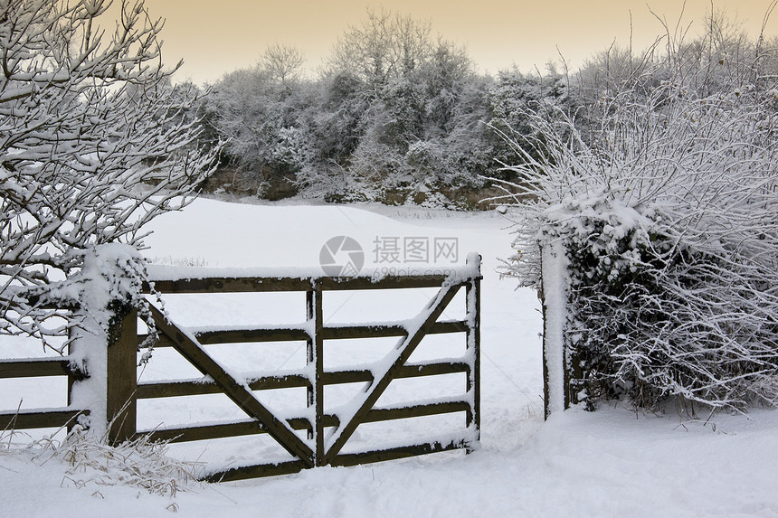 乡村冬季雪     英格兰图片