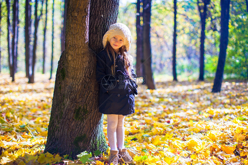 在阳光明媚的秋天 秋天草原上的小美少女森林快乐童年微笑树叶乐趣天气树木孩子橙子图片
