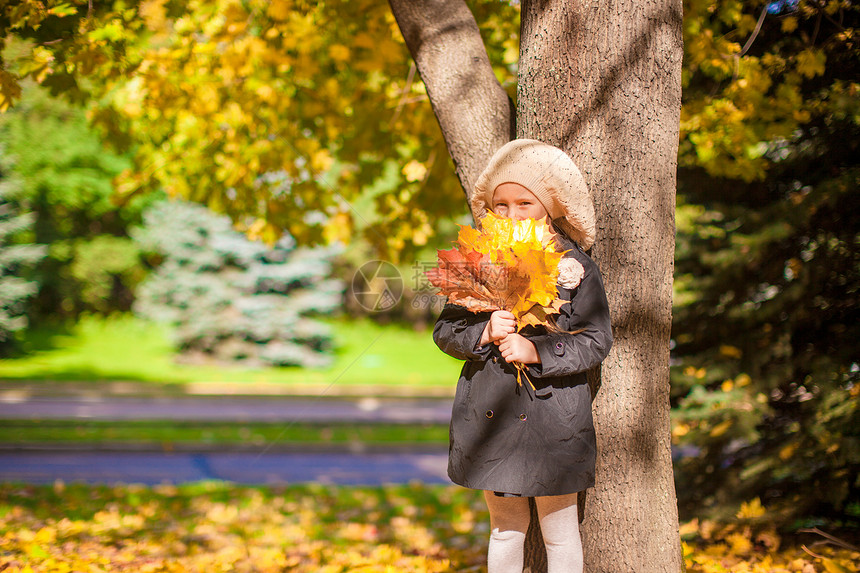 在阳光明媚的秋天 时装美女站在一棵树下 盛满鲜花红叶图片