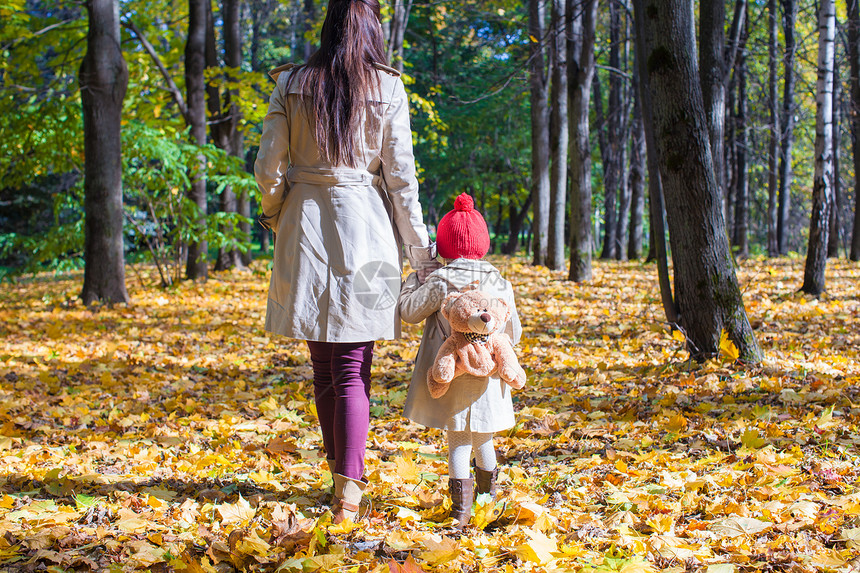 年轻母亲和可爱的小女儿在阳光明媚的日子里 在秋天公园散步女士幸福季节童年晴天享受叶子女性婴儿家庭图片