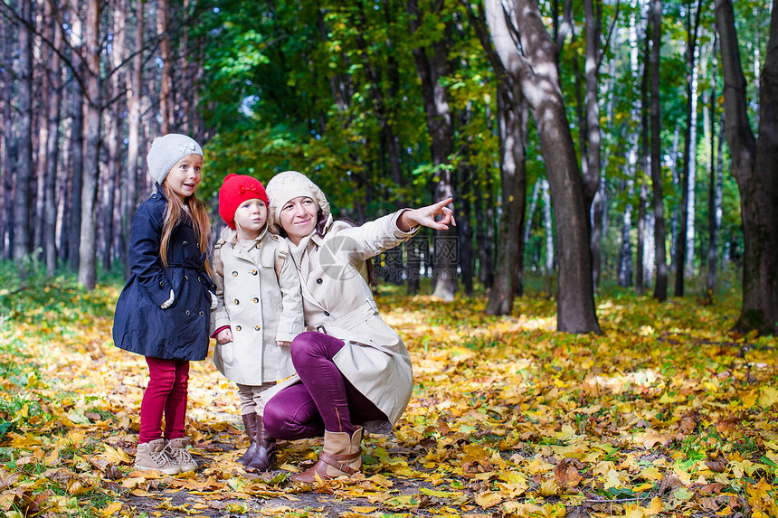 年轻母亲和可爱的女儿在阳光温暖的日子里 在黄秋森林中享受迷人的散步幸福父母家庭伙伴婴儿天气妈妈晴天女孩草地图片