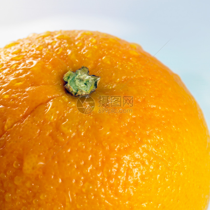 特写白色背景上的橙色隔离镜片Name水果橙子图片