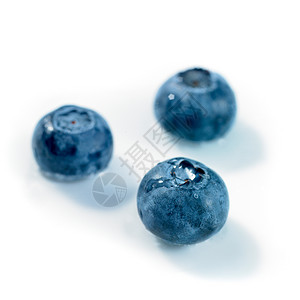 在白色背景上被孤立的蓝莓水果背景图片