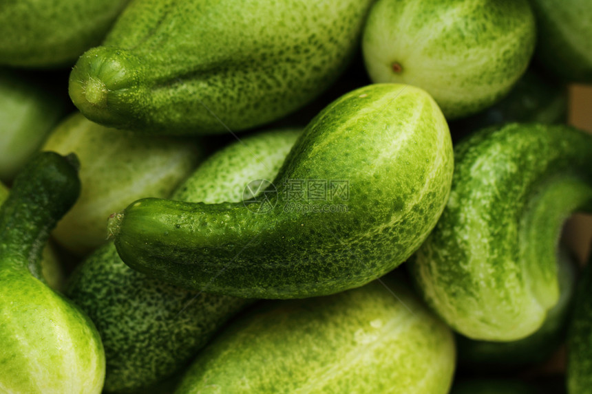绿黄瓜 背景绿色收成食物蔬菜团体农业店铺植物健康市场图片