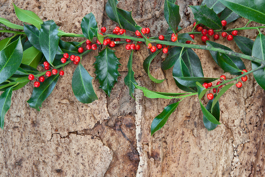 圣诞节的 Rustic 背景乡村时候树叶框架红色礼物白色树枝图片
