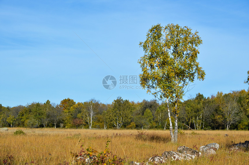 下落颜色天空植物太阳土地草地晴天树木木头农村环境图片