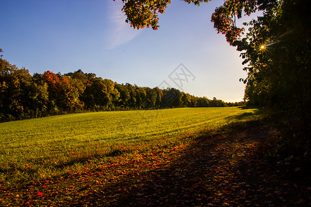 秋季绿色太阳农场农村场地三分球背景图片