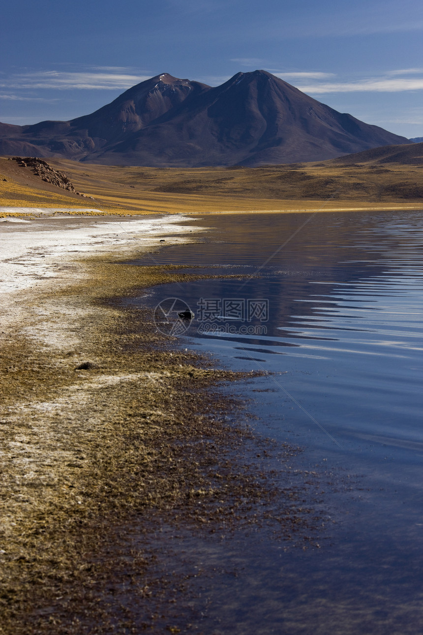 高原泻湖-阿塔卡马沙漠-智利图片