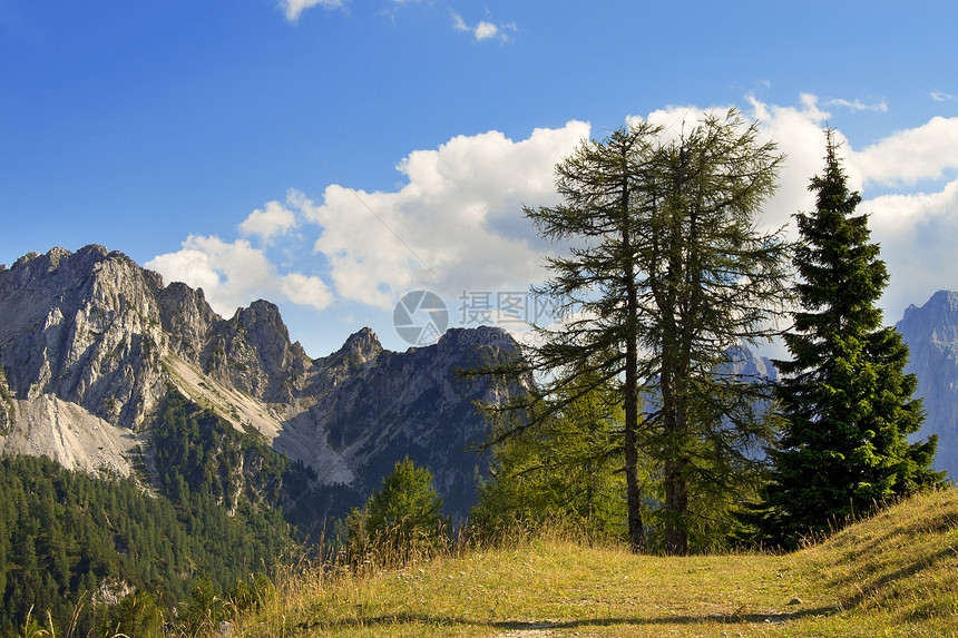Julian Alps和意大利弗里里天空全景小路山毛榉荒野岩石森林顶峰航程假期图片