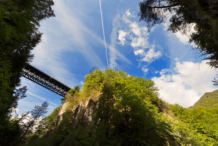 意大利Tarvisio的SlizzaGailitz峡谷植物群叶子分支机构公园天空蓝天绿色阳光生态荒野图片