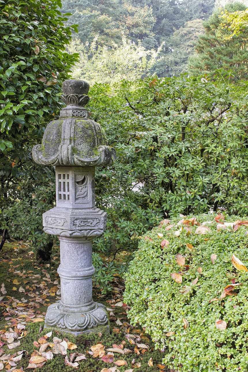 花园中的日本石绿灯侠树叶后院绿色灯笼石头树木灌木植物苔藓院子图片