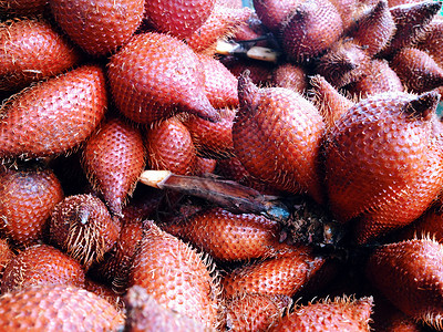 热带水果本底质蛇果维生素宏观棕色营养静物食物种子情调棕榈背景图片
