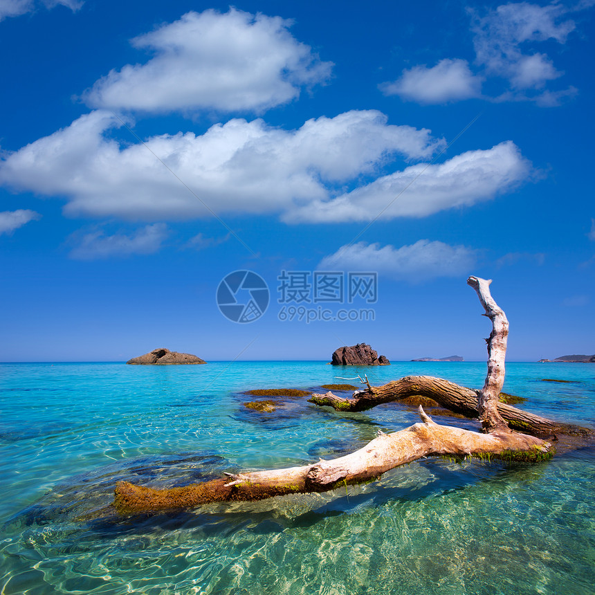 海滩 圣尤拉利亚旅行天堂海景树干支撑天空蓝色胰岛旅游假期图片