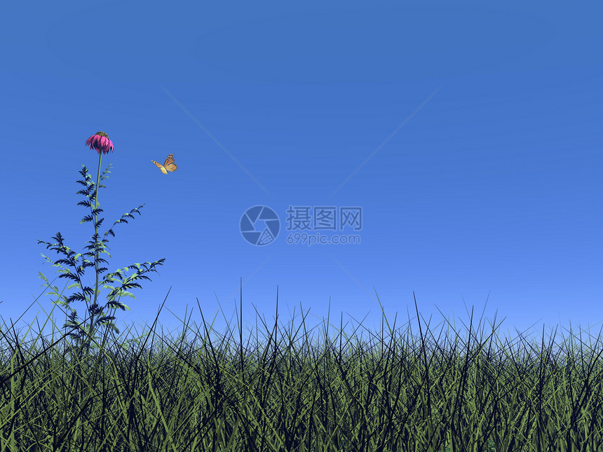 花和蝴蝶 - 3D图片