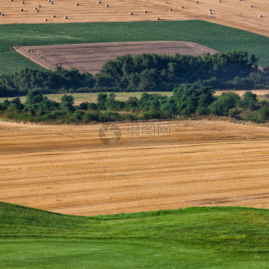 高尔夫球场旁的耕地高尔夫球时间玉米收割机收获田野运动绿色粮食场地图片